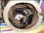 sanna82